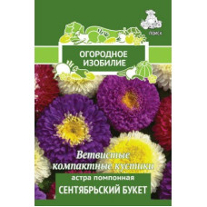 Сем. Астра помпонная Сентяб букет 0,3г цв/уп (огор.изоб)(П)